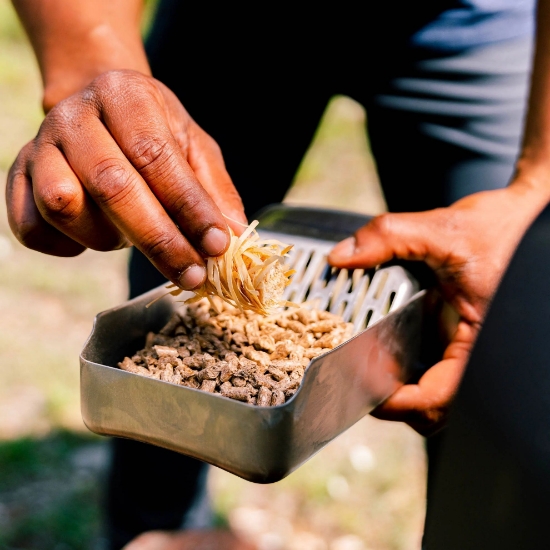 Imagine Aprinzatoare naturale carbuni Ooni