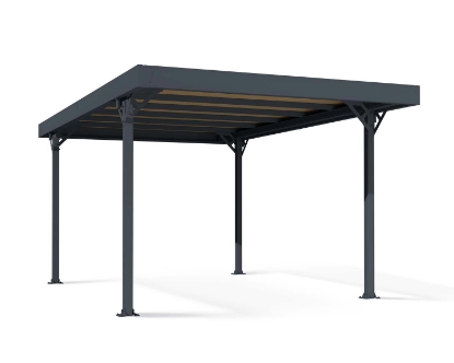 Imagine Carport auto Palma 5000 policarbonat - Canopia