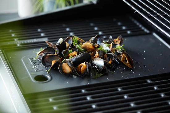 Imagine PLACA DUBLA PENTRU GRATAR