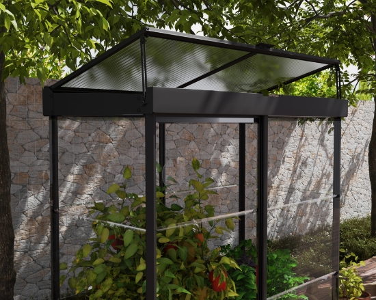 Imagine Canopia - Seră din policarbonat IVY (64 X 124cm) cu structură neagră și panouri transparente
