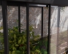 Imagine Canopia - Seră din policarbonat IVY 4 X 2 cu structură neagră și panouri transparente