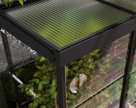 Imagine Canopia - Seră din policarbonat IVY 4 X 2 cu structură neagră și panouri transparente