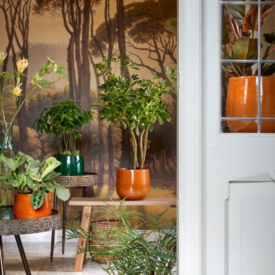 Ghiveci Pablo Mica Decorations